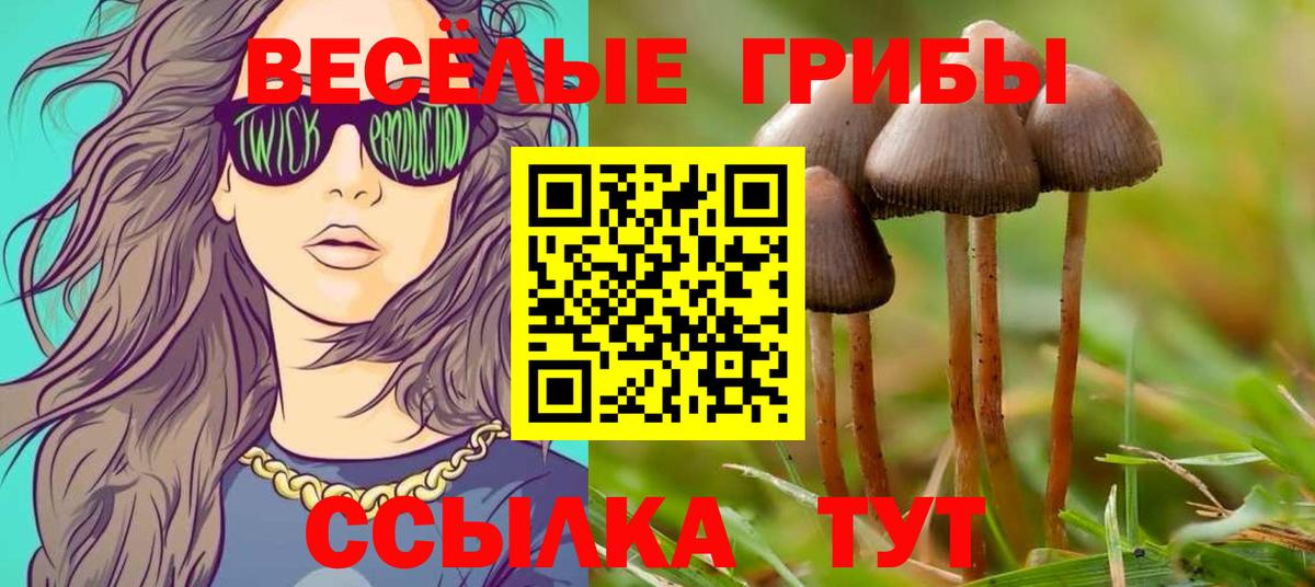 Тара  Псилоцибиновые грибы GOLDEN TEACHER  Псилоцибиновые грибы Psilocybe  Вход с VPN 